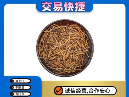 攀枝花仁和区高价回收散虫草